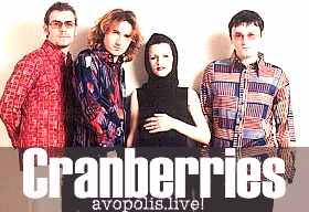 the cranbrries